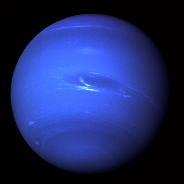 Neptun - vzhled